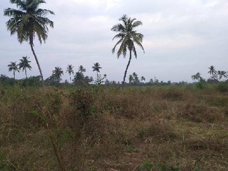 16 Acre  Agricultural Land for Sell Near vapi