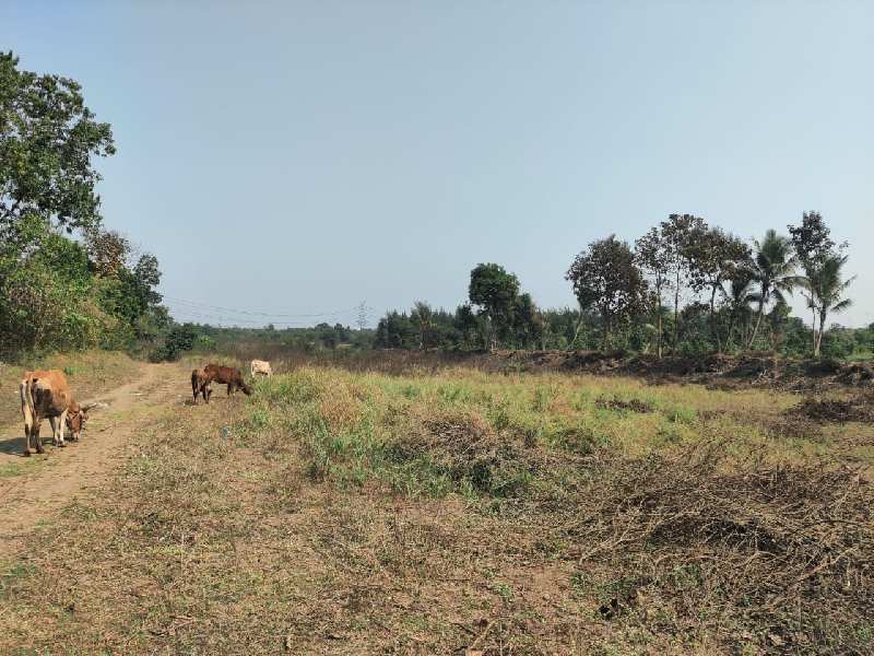32 Acre Agricultural Land for Sell Title Clear
