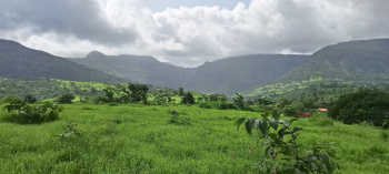76 Acres Land for Sale in Panvel Near Airport – Ideal for bungalow layouts