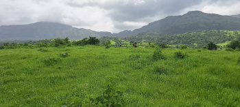 76 Acres Land for Sale in Panvel Near Airport, Ideal for bungalow layouts