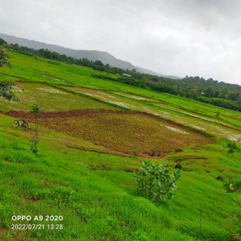 50 Acre Industrial Land / Plot for Sale in Mangaon, Raigad