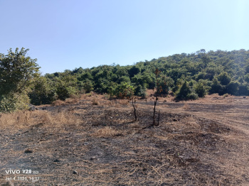 Property for sale in Mangaon, Raigad