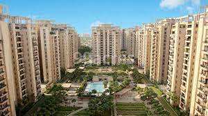 6 BHK Flats & Apartments for Rent in Sector 49, Gurgaon (4000 Sq.ft.)