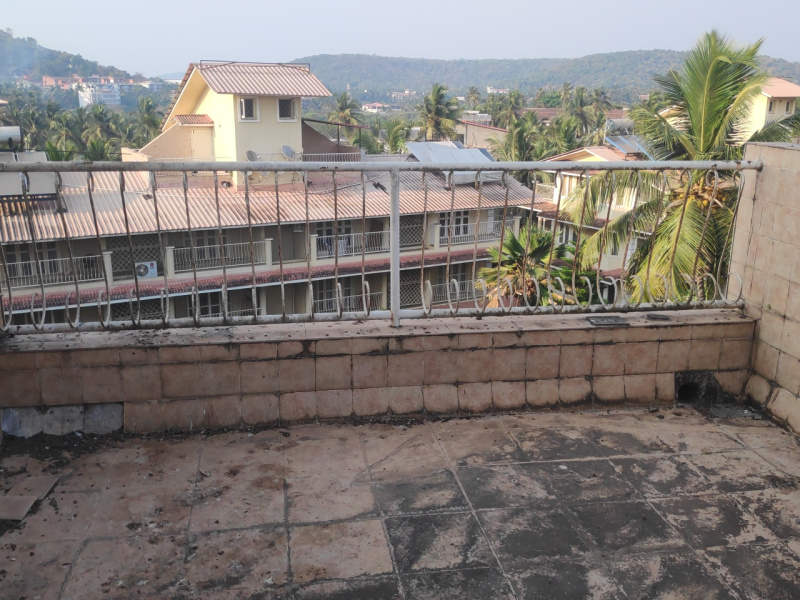 1 BHK Flats & Apartments for Sale in Arpora, Goa (60 Sq. Meter)