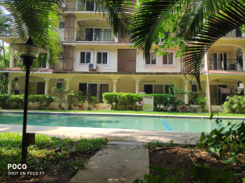 1 BHK Flats & Apartments for Sale in Nagoa, North Goa, Goa (60 Sq. Meter)