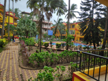 1 BHK Flats & Apartments for Sale in Calangute, Goa