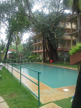 Flats & Apartments for Sale in Nagoa, North Goa, Goa