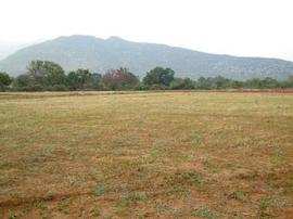 Residential Plot for Sale In Indore