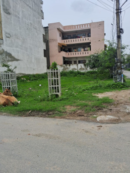 Residential Plot for Sale in Sector 81, Faridabad (250 Sq. Yards)