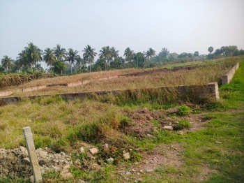 Property for sale in Rasapunja, Kolkata