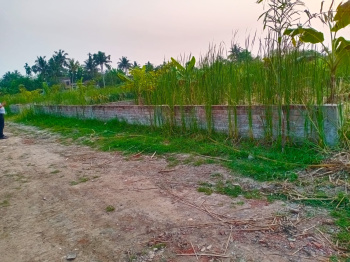 Agricultural/Farm Land for Sale in Joka, Kolkata (20 Bigha)