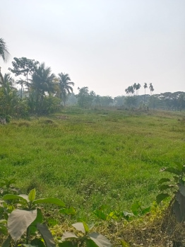 Property for sale in Amtala, Kolkata