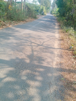 Agricultural/Farm Land for Sale in Amtala, Kolkata (70 Katha)