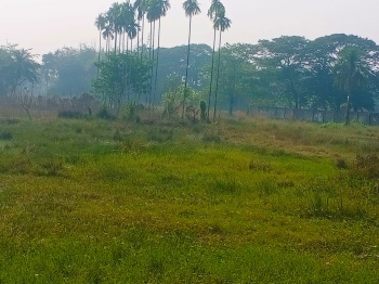 Property for sale in Amtala, Kolkata
