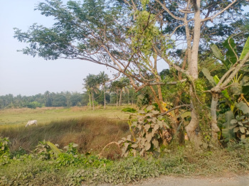 Property for sale in Amtala, Kolkata