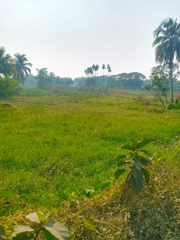 Agricultural/Farm Land for Sale in Amtala, Kolkata (3.5 Bigha)