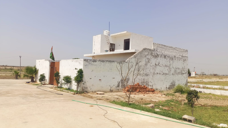 300 Sq. Yards Residential Plot for Sale in Yamuna Expressway, Greater Noida