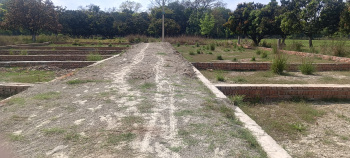 Industrial Land / Plot for Sale in Rajgir, Nalanda (25 Bigha)