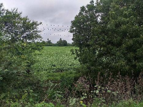 Agricultural/Farm Land for Sale in Mhow Road, Indore (3 Bigha)