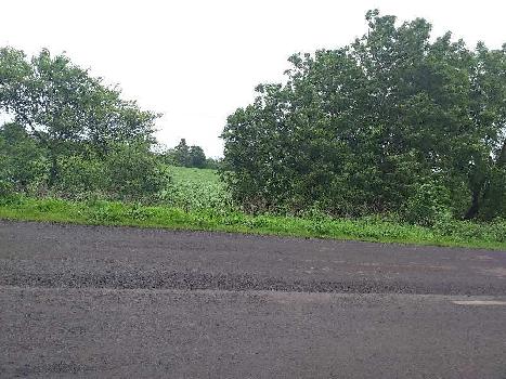 Agricultural/Farm Land for Sale in Mhow Road, Indore (10.5 Bigha)