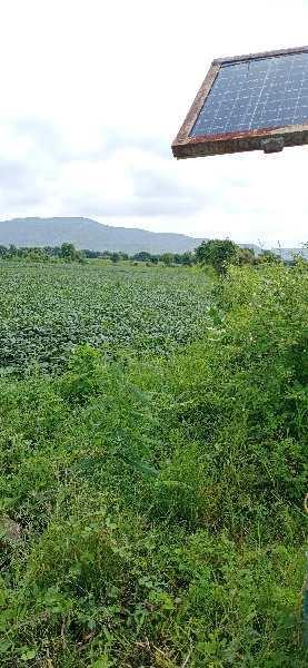 4.20 Bigha Agricultural/Farm Land for Sale in Mhow, Indore