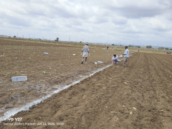 Property for sale in Nannur, Kurnool