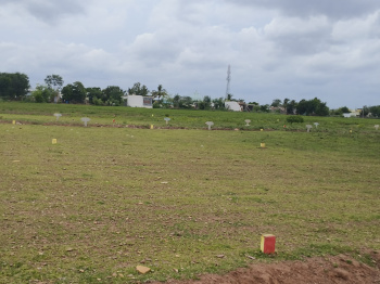 Residential Plot for Sale in Orvakal, Kurnool (1320 Sq.ft.)