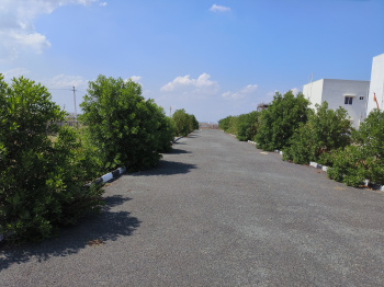 Property for sale in B Thandrapadu, Kurnool