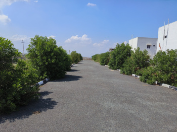 Residential Plot for Sale in B Thandrapadu, Kurnool (1200 Sq.ft.)