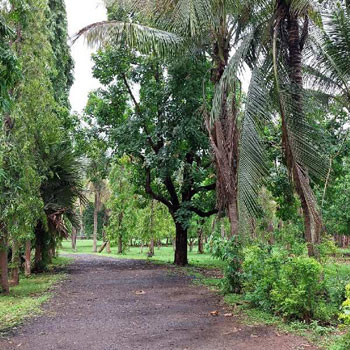 10 Acre Agricultural/Farm Land for Sale in Karjat, Raigad