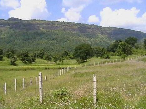 25000 Sqft Open Land for Sale At Kasara On Highway At Rs 24 Lacs