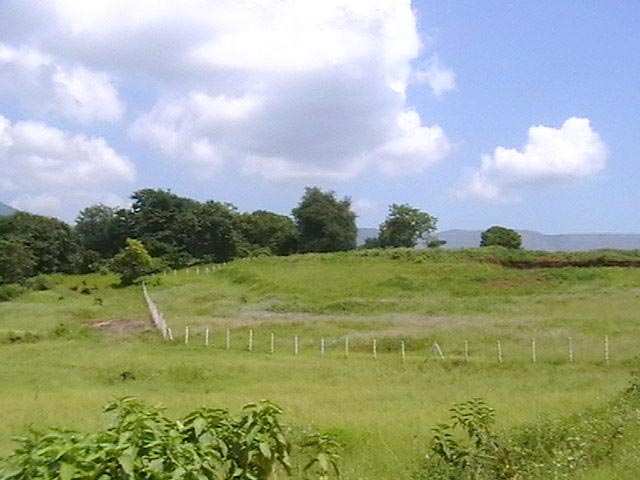 66000 Sqft FARM LAND for BOOKING at TALA -GOA HIGHWAY
