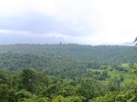 5 Acres R-zone Land for Sale At Lonavala for Rs 2 Cr 40 Lacs per Acre