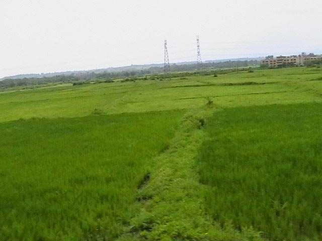 80 Acres Land At Tala Near Dighi Port for Rs 5 Lacs  per Acre