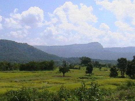 Industrial Land / Plot for Sale in Chakan, Pune (60 Acre)