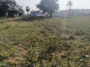 Residential plot for sale in Arisiperiyankuppam - cuddalore.