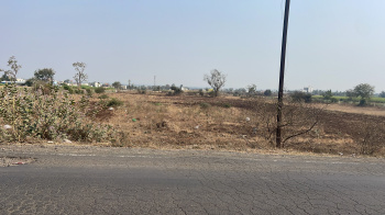 6 Acre Agricultural/Farm Land for Sale in Sanaswadi, Pune