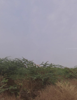 9 Acre Residential Plot for Sale in Shikrapur, Pune