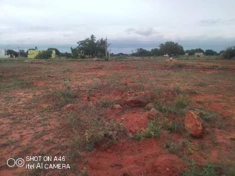 10 Cent Agricultural/Farm Land for Sale in Annur, Coimbatore
