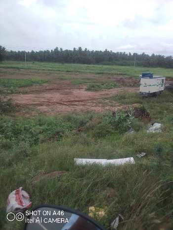 16 Acre Commercial Lands /Inst. Land for Sale in Trichy Road, Coimbatore