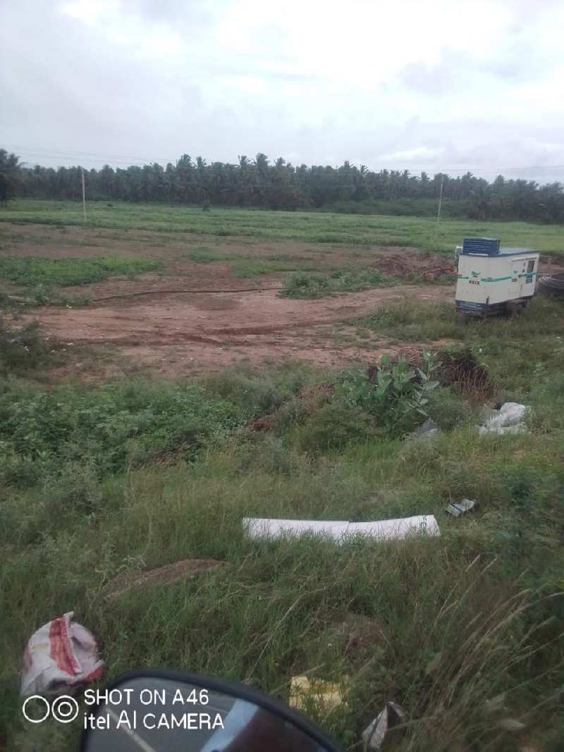 16 Acre Agricultural/Farm Land for Sale in Neelambor, Coimbatore