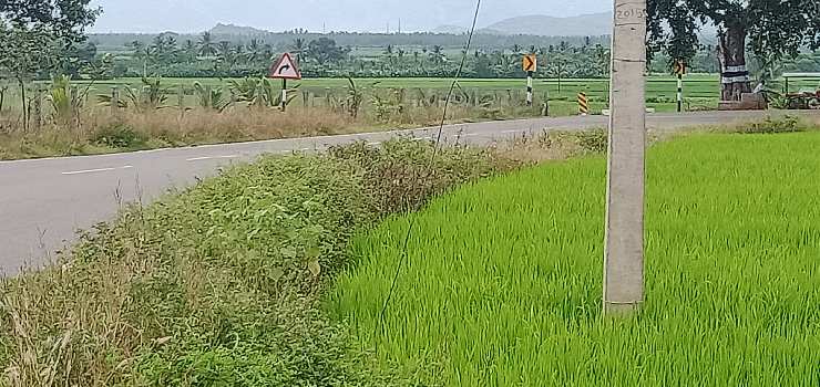 1 Acre Agricultural/Farm Land for Sale in Annur, Coimbatore