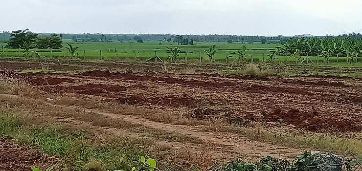 5 Acre Agricultural/Farm Land for Sale in Annur Metu Palayam, Coimbatore