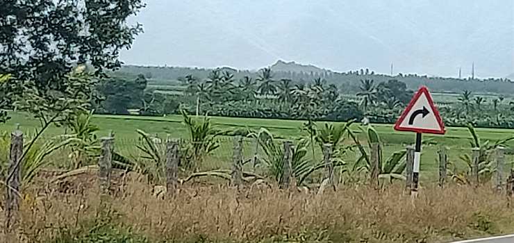 70 Cent Agricultural/Farm Land for Sale in Sathy Road, Coimbatore