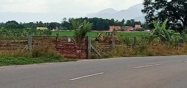 2 Acre Agricultural/Farm Land for Sale in Annur, Coimbatore