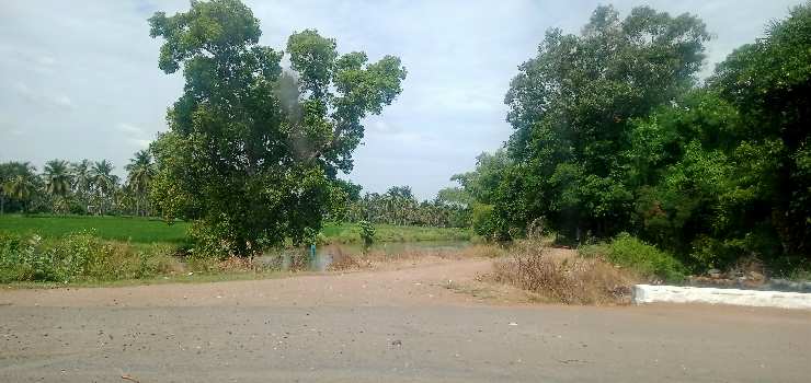 2.5 Acre Agricultural/Farm Land for Sale in Karayampalayam, Coimbatore