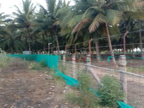 5.5 Acre Agricultural/Farm Land for Sale in Annur, Coimbatore