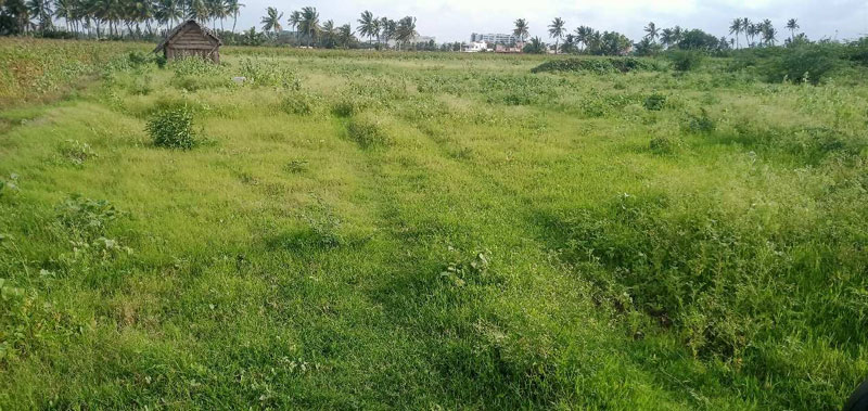 2.80 Acre Residential Plot For Sale In Keeranatham, Coimbatore