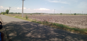 Agricultural/Farm Land for Sale in Athipalayam, Coimbatore (10 Acre)