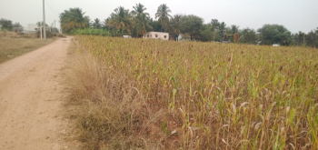 Agricultural/Farm Land for Sale in Saravanampatti, Coimbatore (36 Cent)